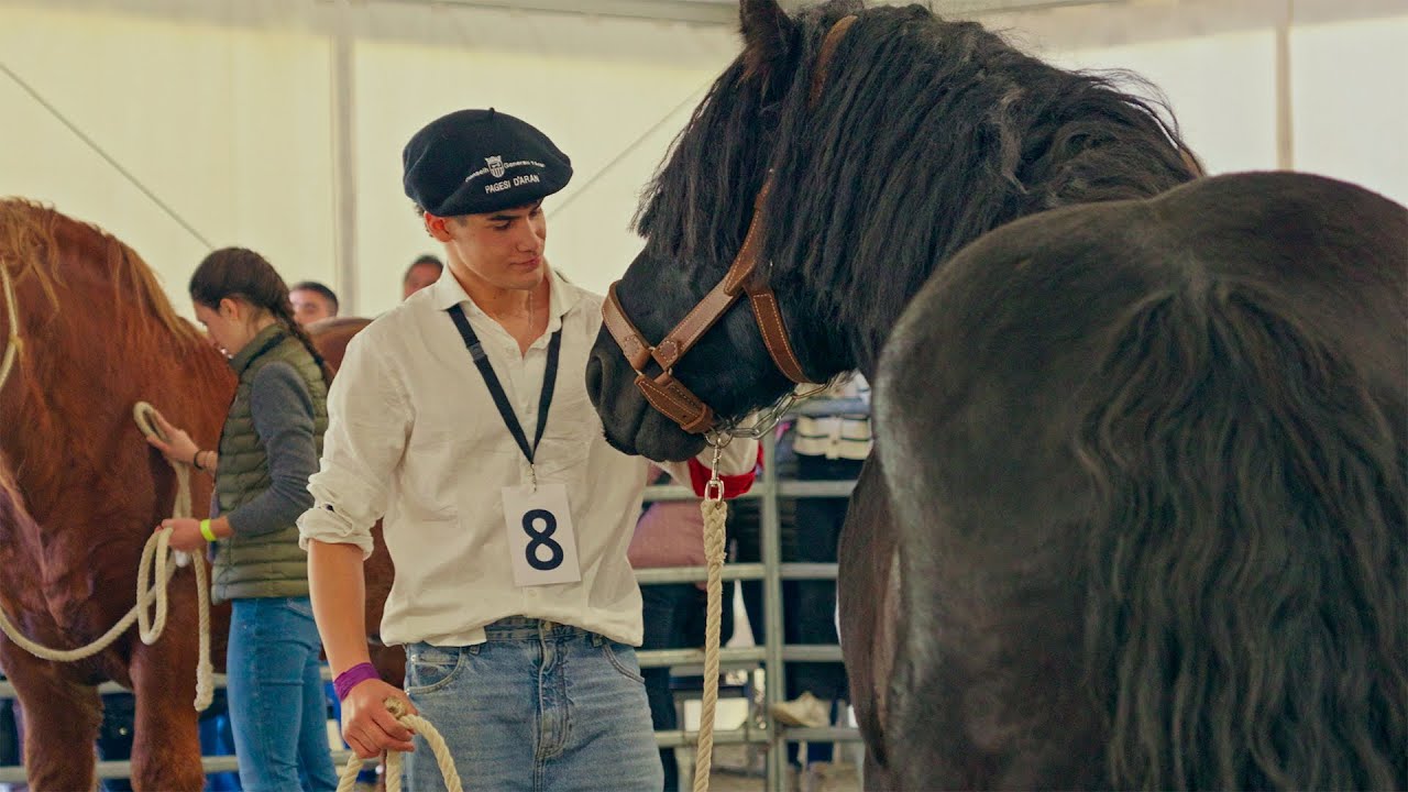 Cavall Pirinenc Català 🐴 | Concurs Nacional 2024 (Arties, Val d'Aran🏞️)