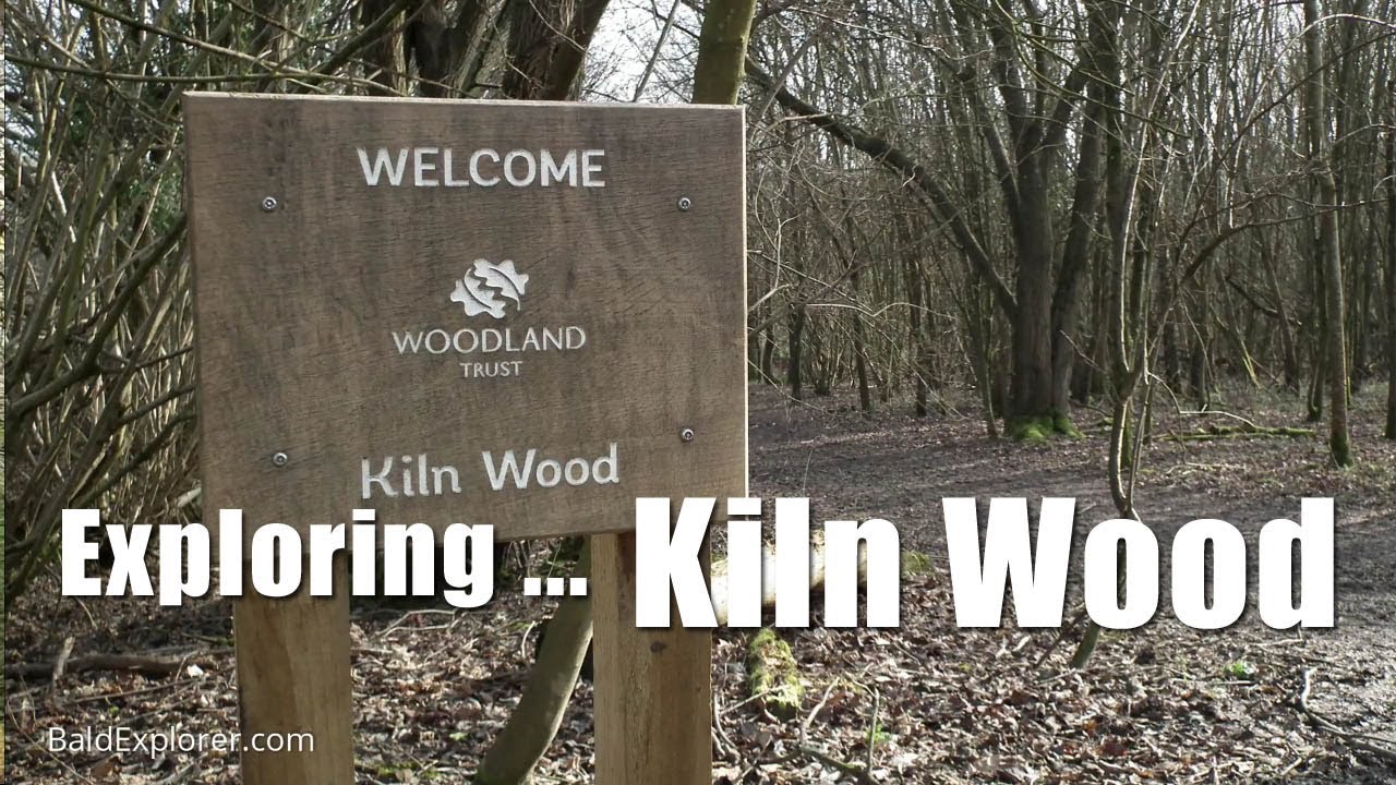 Exploring Sussex: Kiln Wood, Blackboys, East Sussex