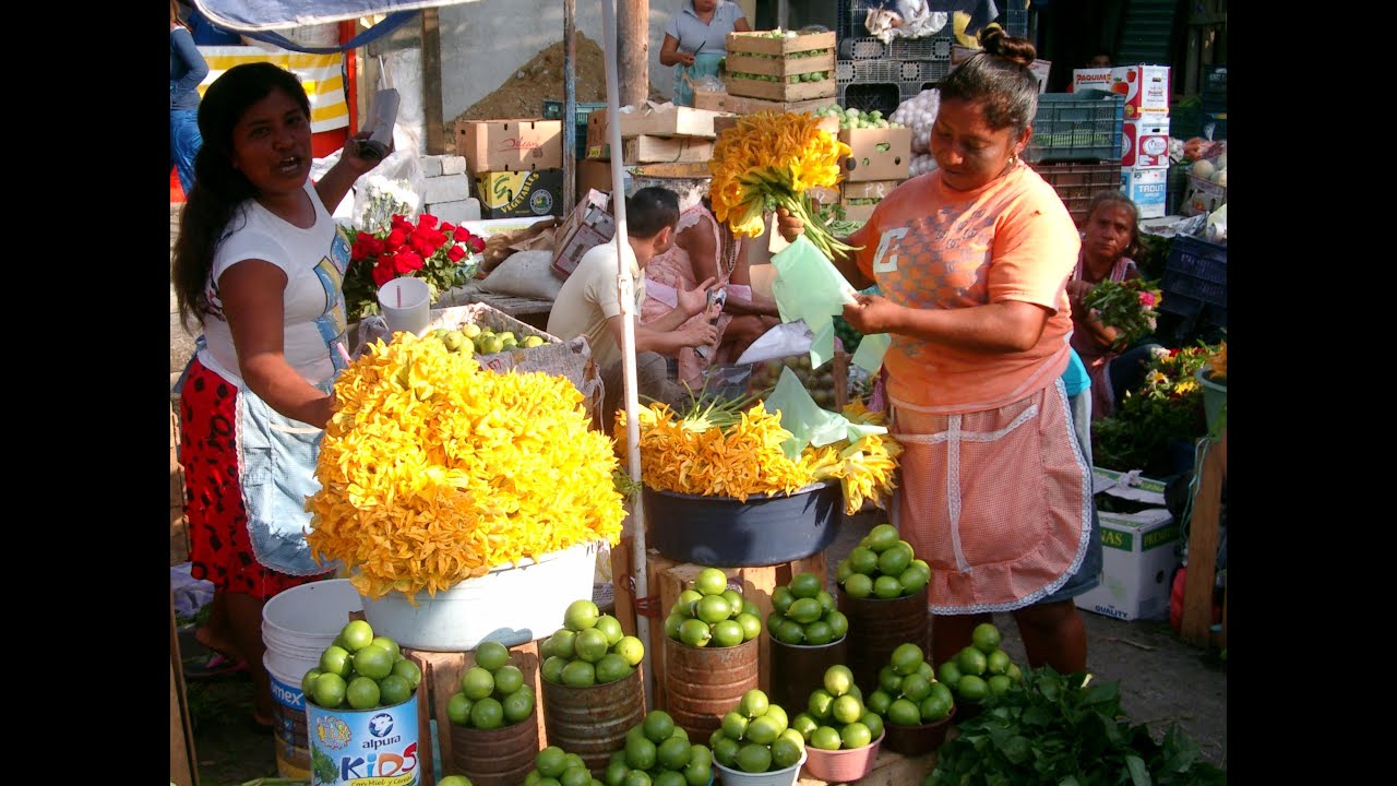 Best Tours in Acapulco -MARKET TOUR, MERCADO MUNICIPAL,  by Rudy Fregoso Tour By Van