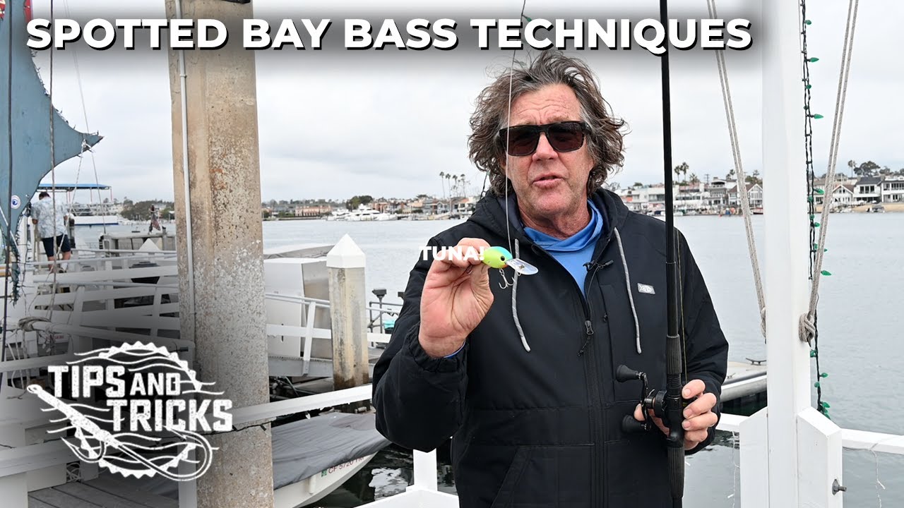 Spotted Bay Bass Techniques - SoCal Bight FISHING ACADEMY Ep. 3