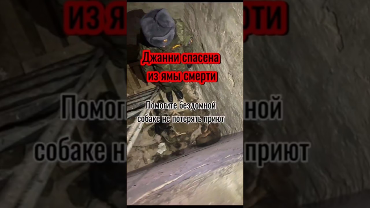 🆘️Срок передержки истекает&hellip;❗️Не&nbsp;дайте&nbsp;мечте&nbsp;Джанни&nbsp;о&nbsp;доме&nbsp;разбиться.&nbsp;Ей снова нужна наша поддержка!