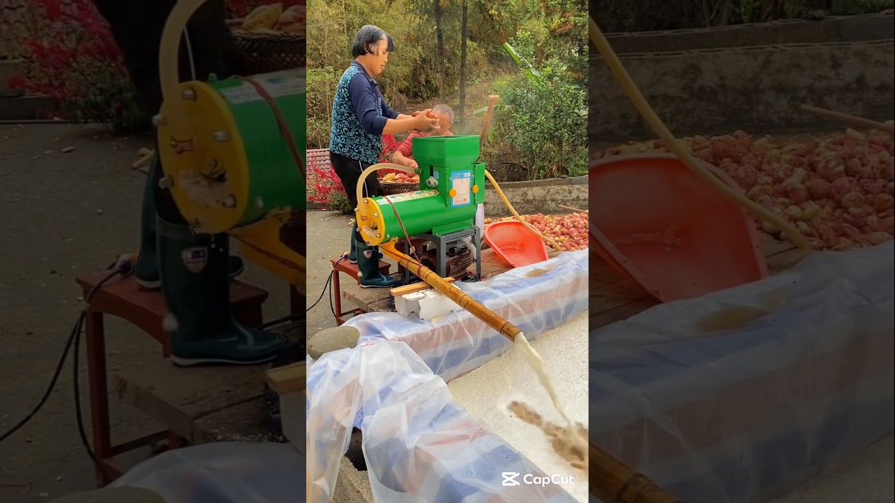 Sweet Potato Starch Processing #products #streetfood #foodie