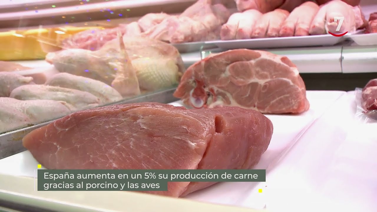 Flash El campo al día: España aumenta en un 5% su producción de carne gracias al porcino y las aves