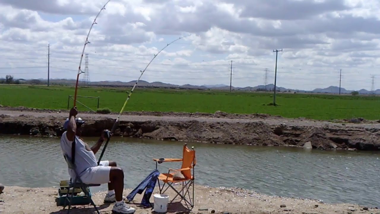 ARIZONA CANAL CATFISHING