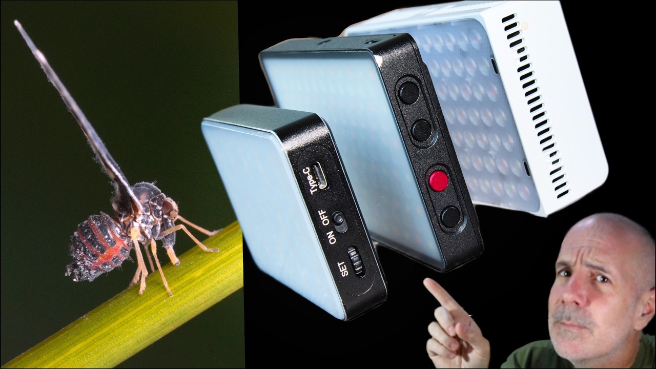 Best pocket LED light for macro videography that I own.