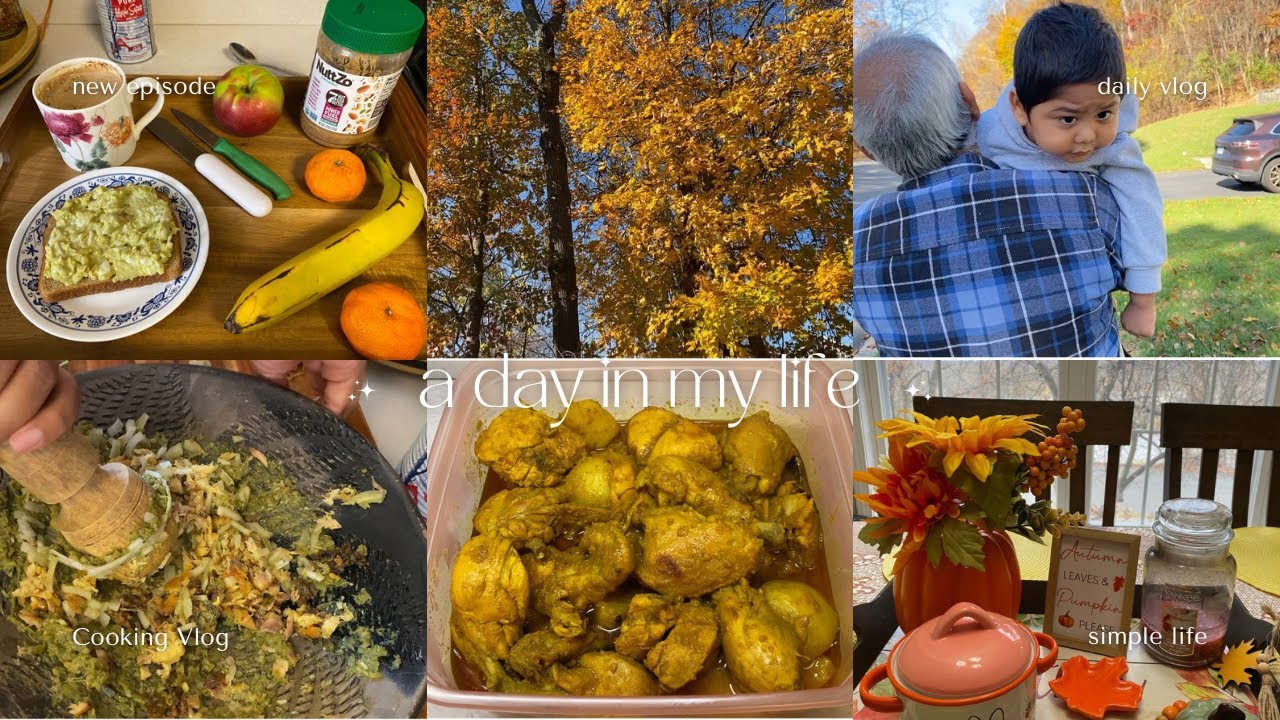 আজ কেন এত কিছু রান্না করলাম? Cozy Autumn Day in USA🍂🍁 BD Vlogger In USA