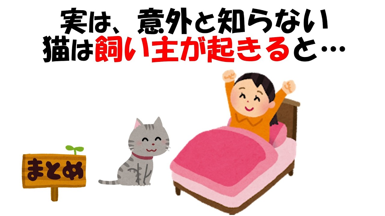 【かわいい】猫の雑学 #猫 #ネコ #雑学 #豆知識 #猫の行動 #猫の気持ち