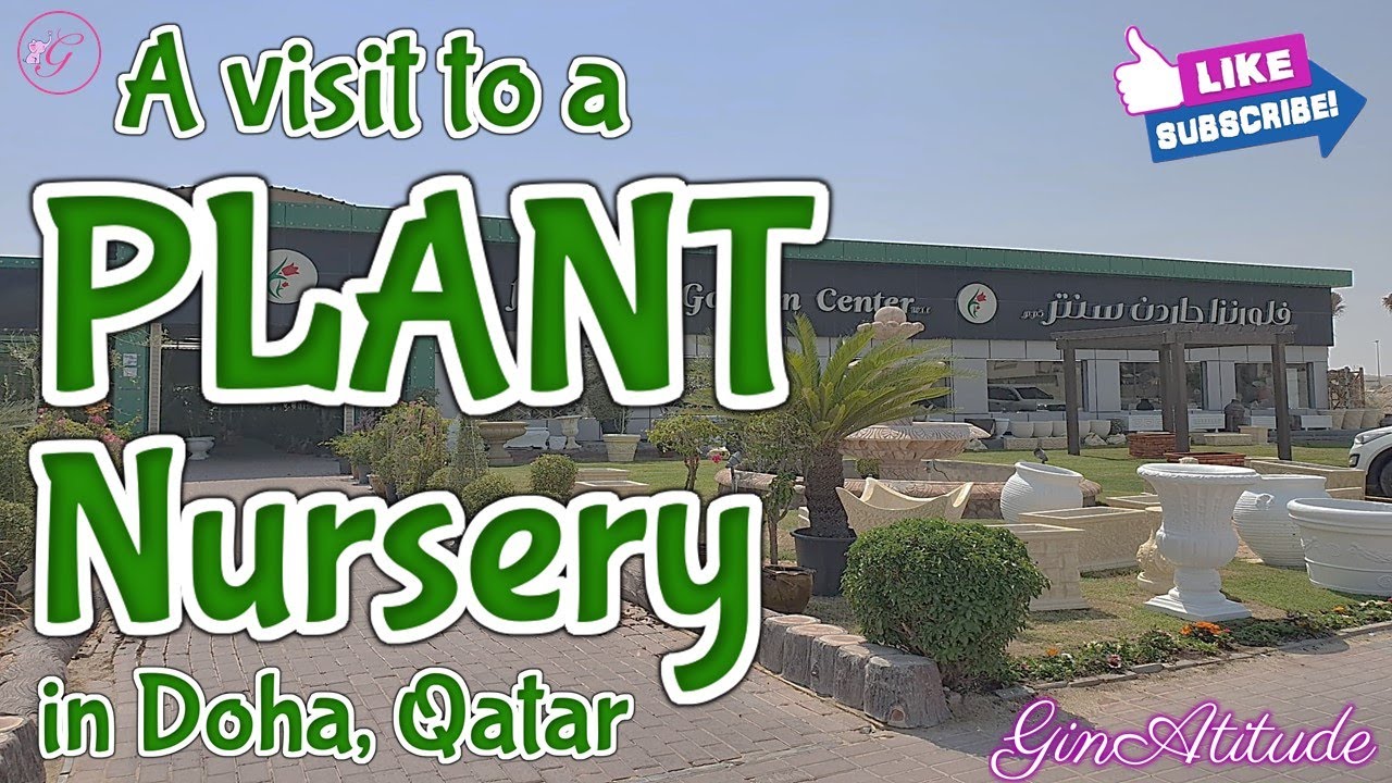 A visit to a Plant Nursery in Doha, Qatar