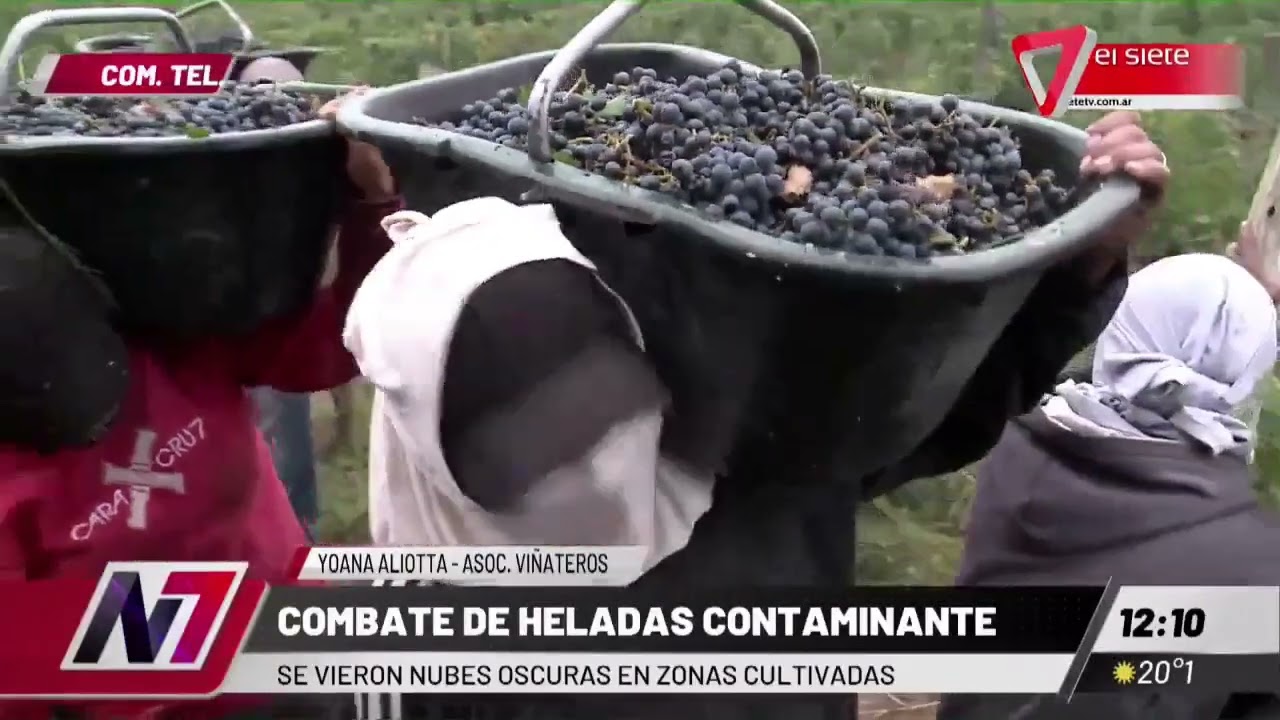 HELADAS I Preocupa la cosecha por los da&ntilde;os
