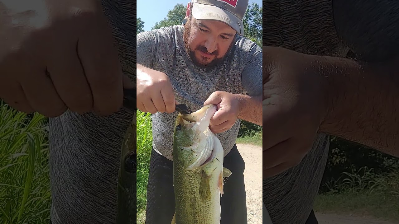 last years biggest catch 