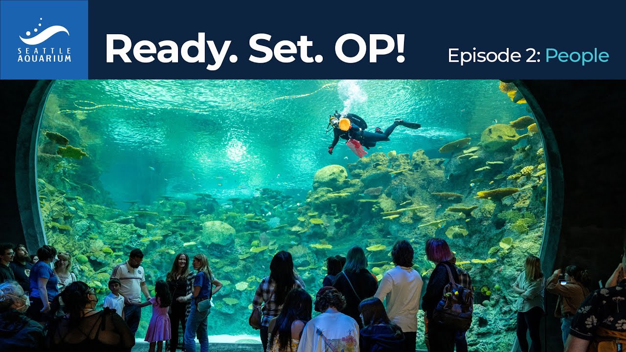 Ready. Set. Ocean Pavilion! Episode 2: People