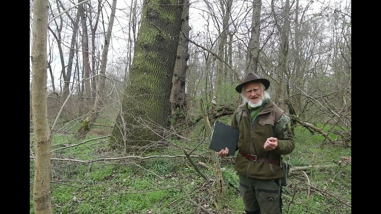Kunst und Erkenntnis für Auen und Wald: 17.-20. September 2025 in Leipzig