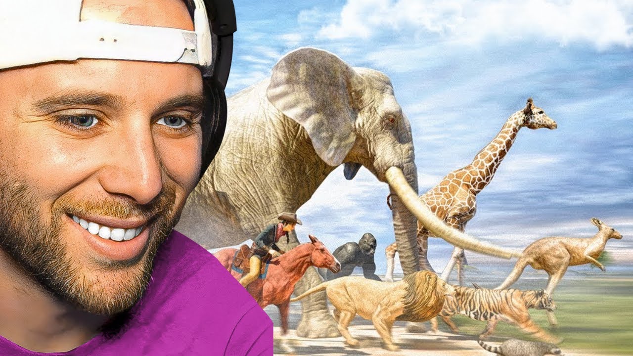 ANIMAL SPEED COMPARISON