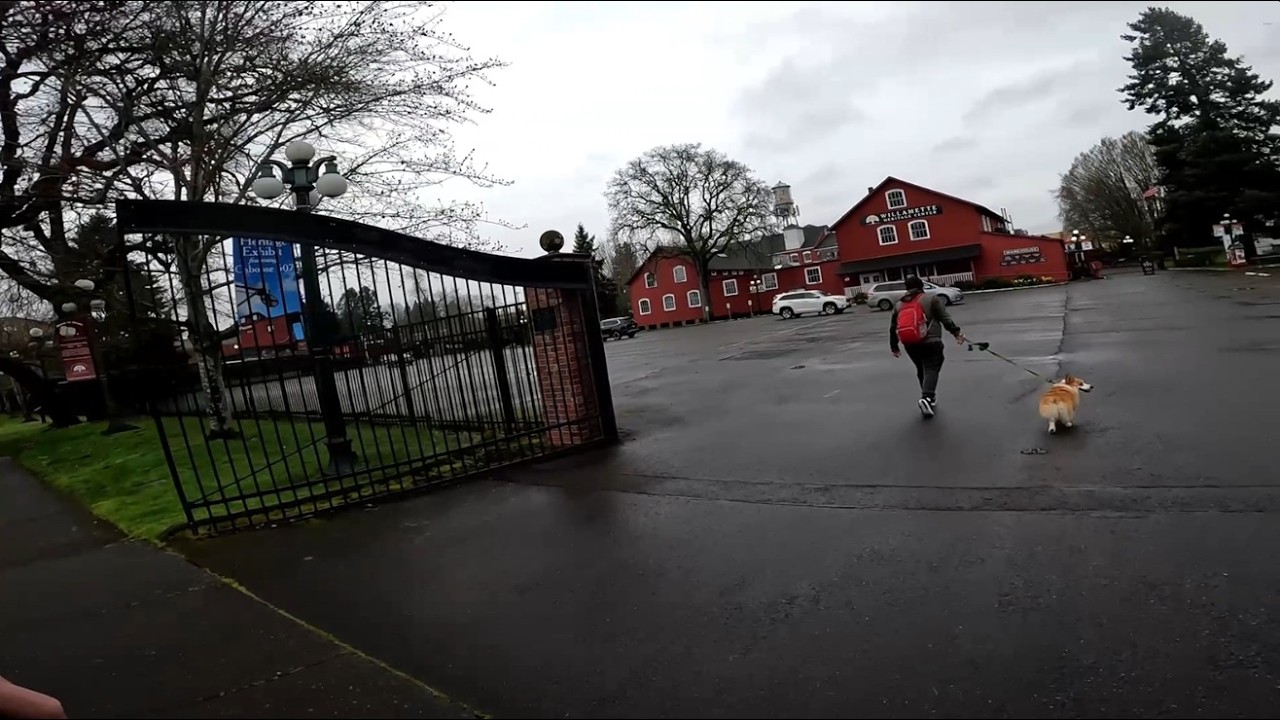 Not Trying To Sneak In