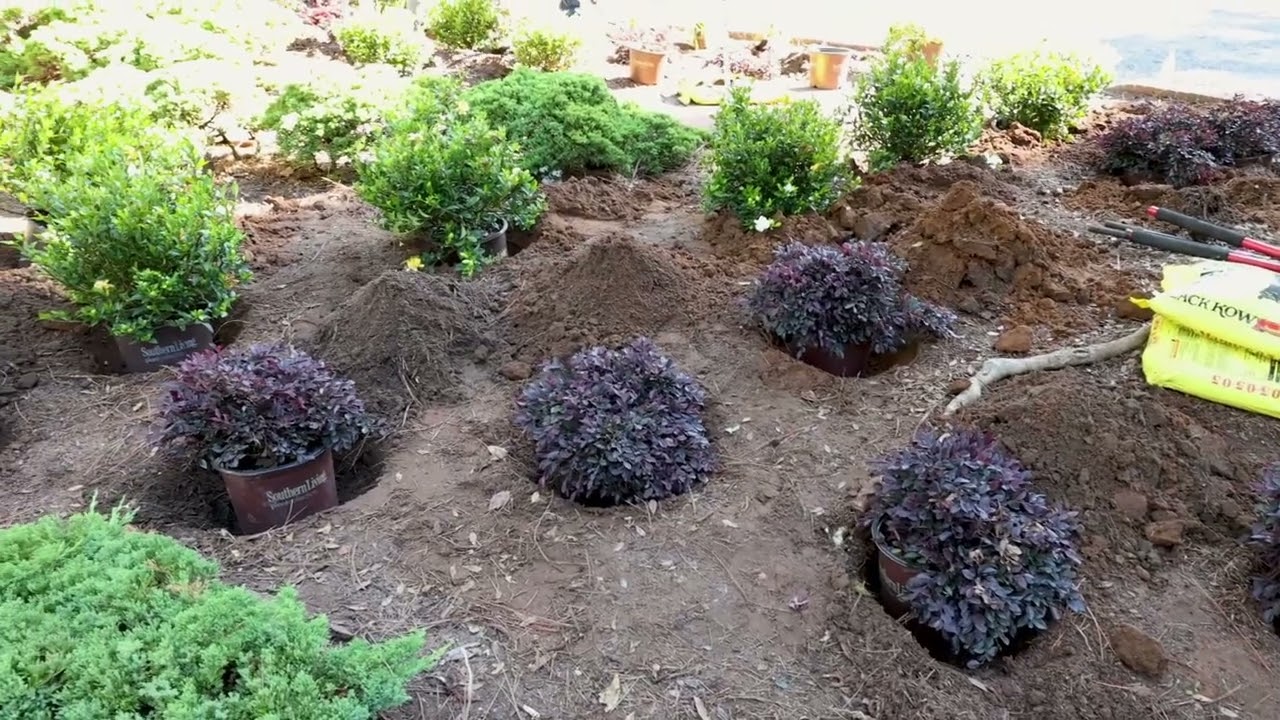 Weymouth Landscaping with @JimPutnam