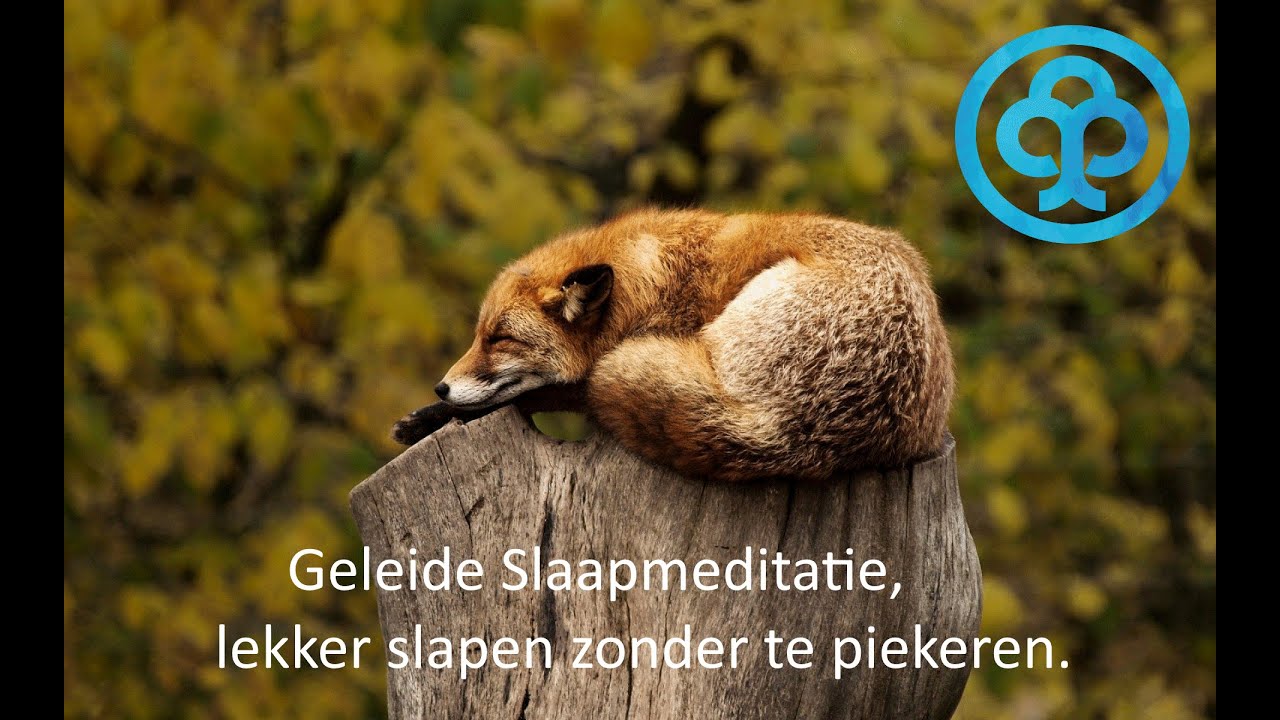 Slaaphypnose: Lekker diep slapen zonder te piekeren of wakker te liggen.