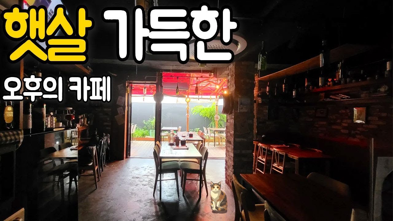 [1시간 ASMR]나른한 오후의 햇살 카페 ASMR ☕️ 카공하기 좋은 잔잔한 재즈 | Sunny Day Cafe Ambience   | 공부·수면·집중