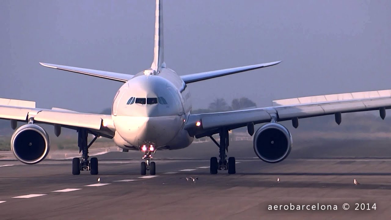 [FULL HD] CAUTION!! SEAGULS ON RUNWAY!! Qatar A332 landing Barcelona-El Prat