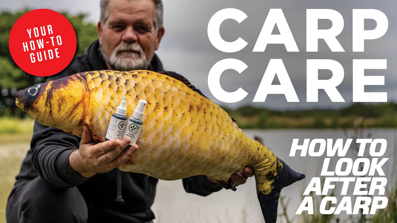 Mastering Carp Care With The Pallatrax Carp Care Kit | Essential Tips For Carp Fishing