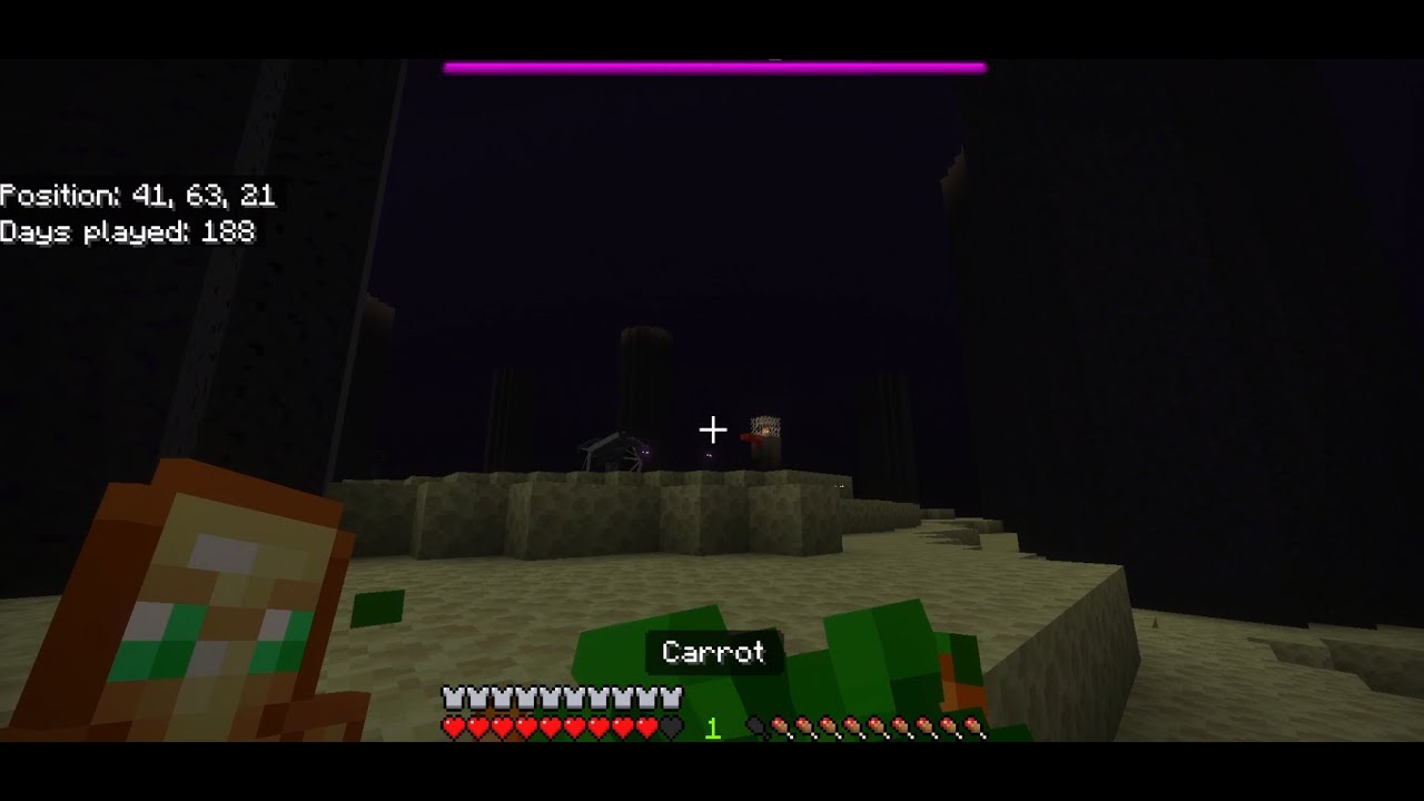beating the ender dragon (with bro)