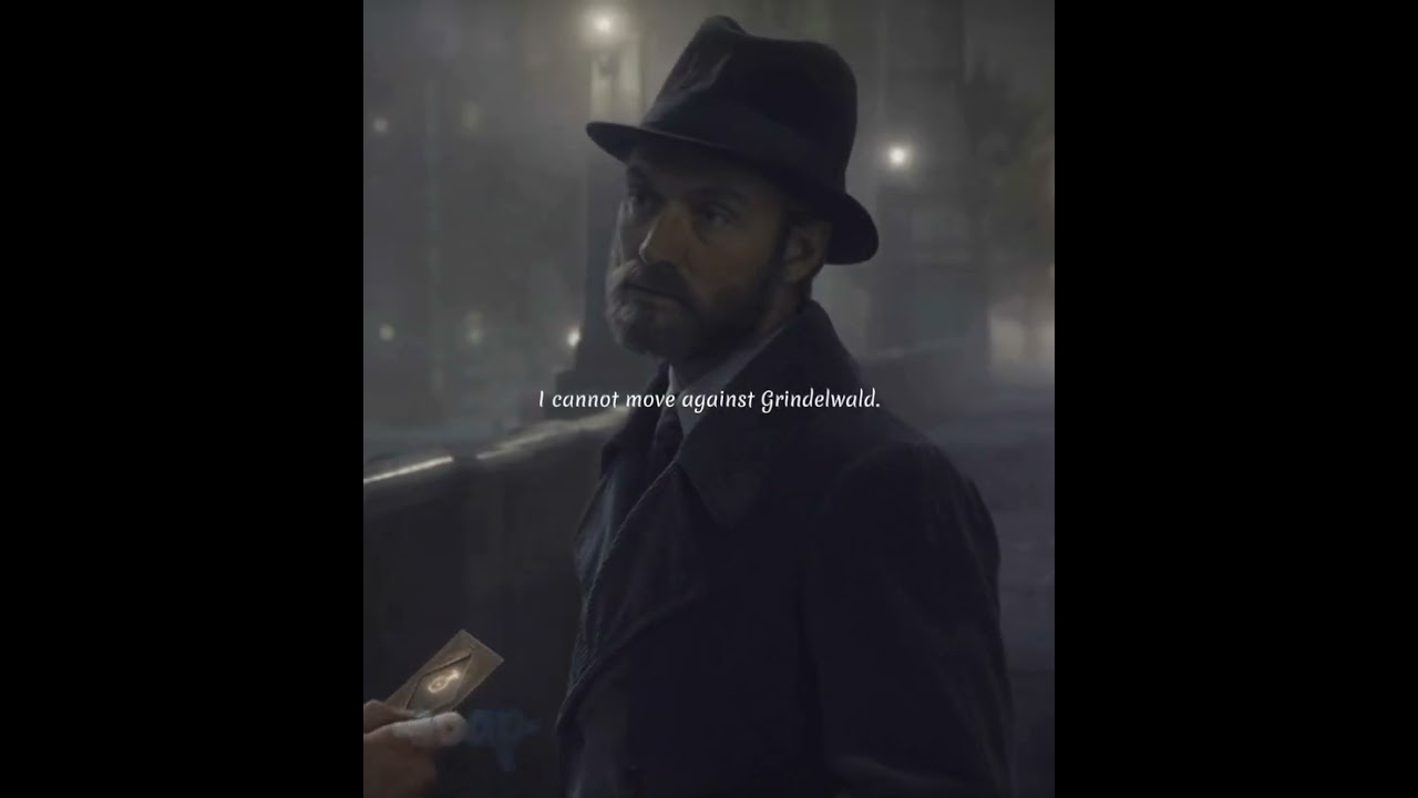 honestly that's a lot of pressure man #newtscamander #edit