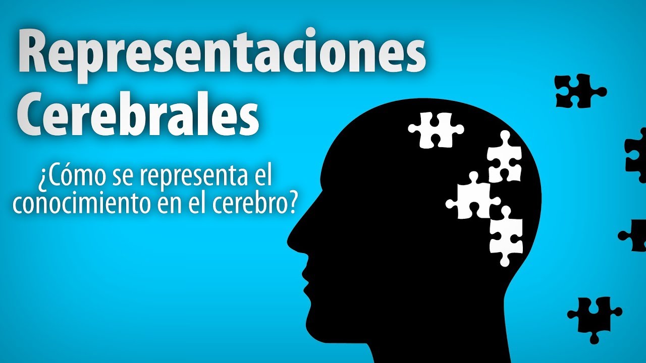 ¿Cómo representa el conocimiento tu cerebro ? - Representaciones Mentales