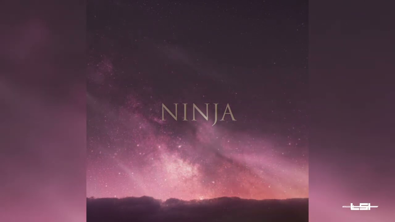 LSI - Ninja