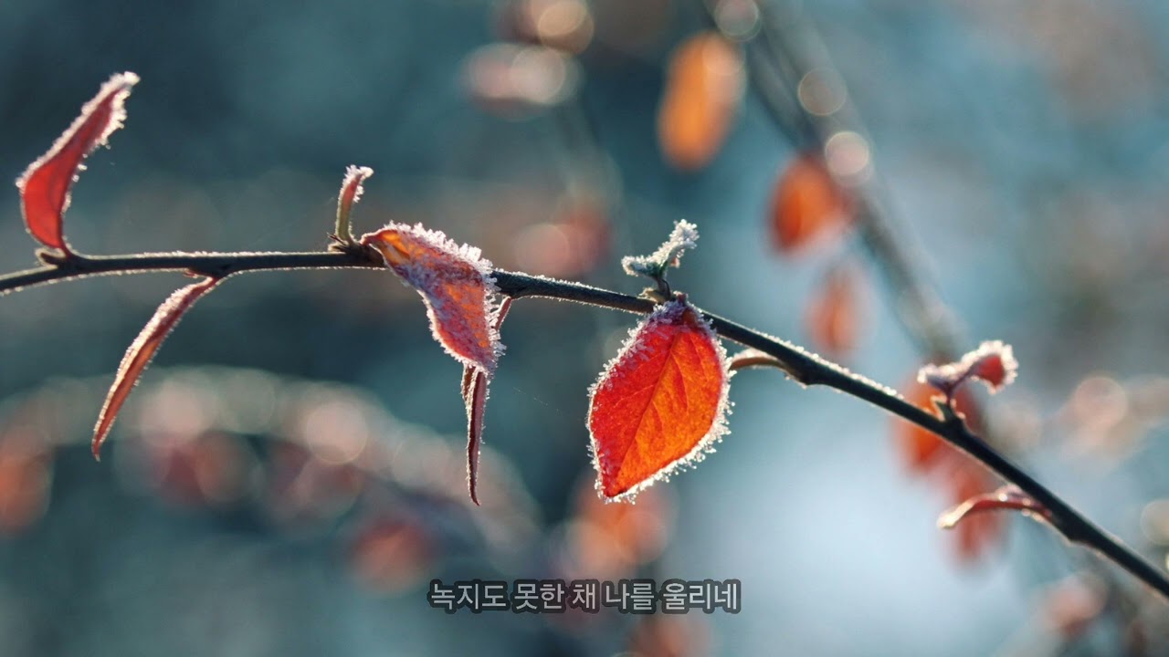 서리꽃