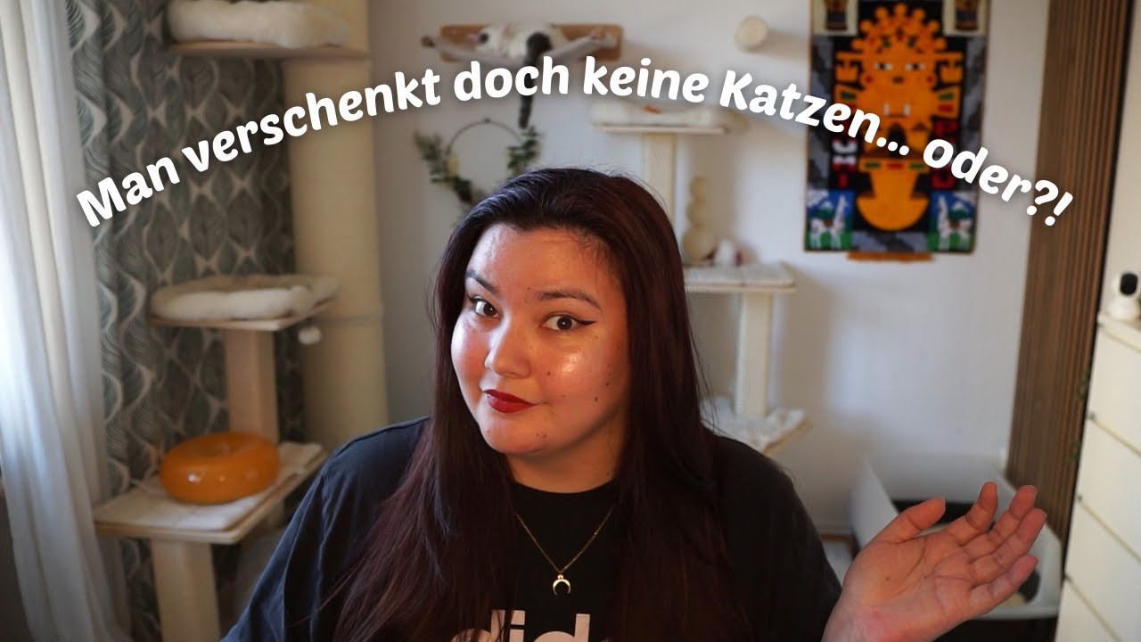 Man verschenkt doch keine Katzen… oder?! | TikTok Katzen Reaction