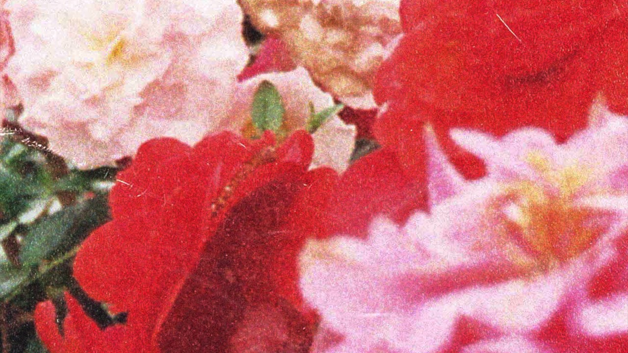 Brandon Banks - ivy + bliss (Audio)