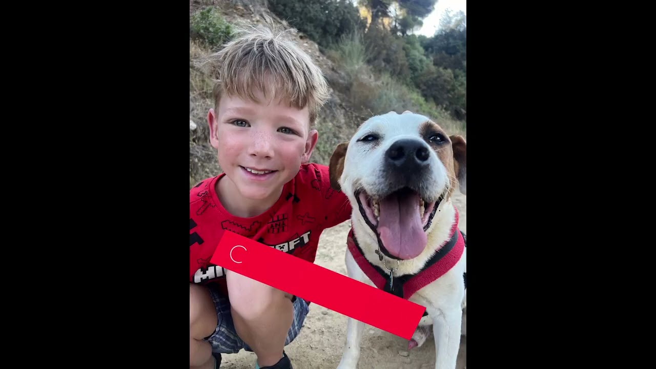 My visit to Skiathos Dog Shelter