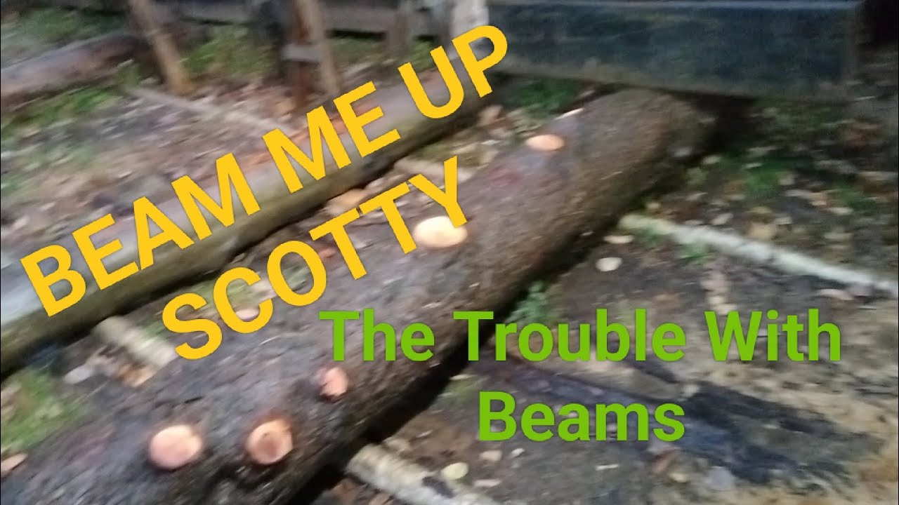 The Trouble with Hemlock Beams