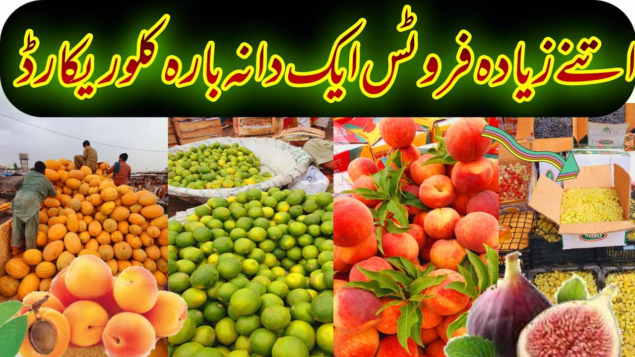 Don’t Overpay! Watch This Before Buying Summer Fruits |  Islamabad Fruit Mandi Secrets Revealed |