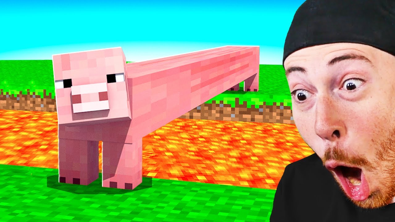 Minecraft Memes You Can't Explain