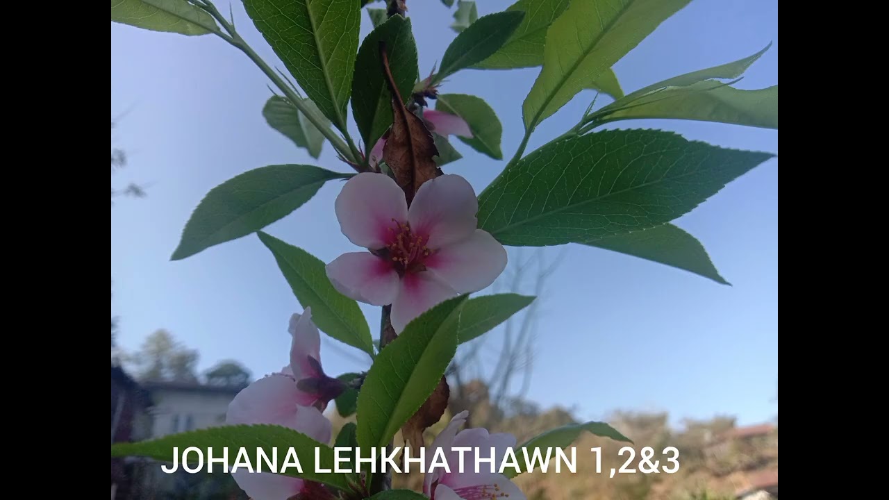 JOHANA LEHKHATHAWN 1,2&3
