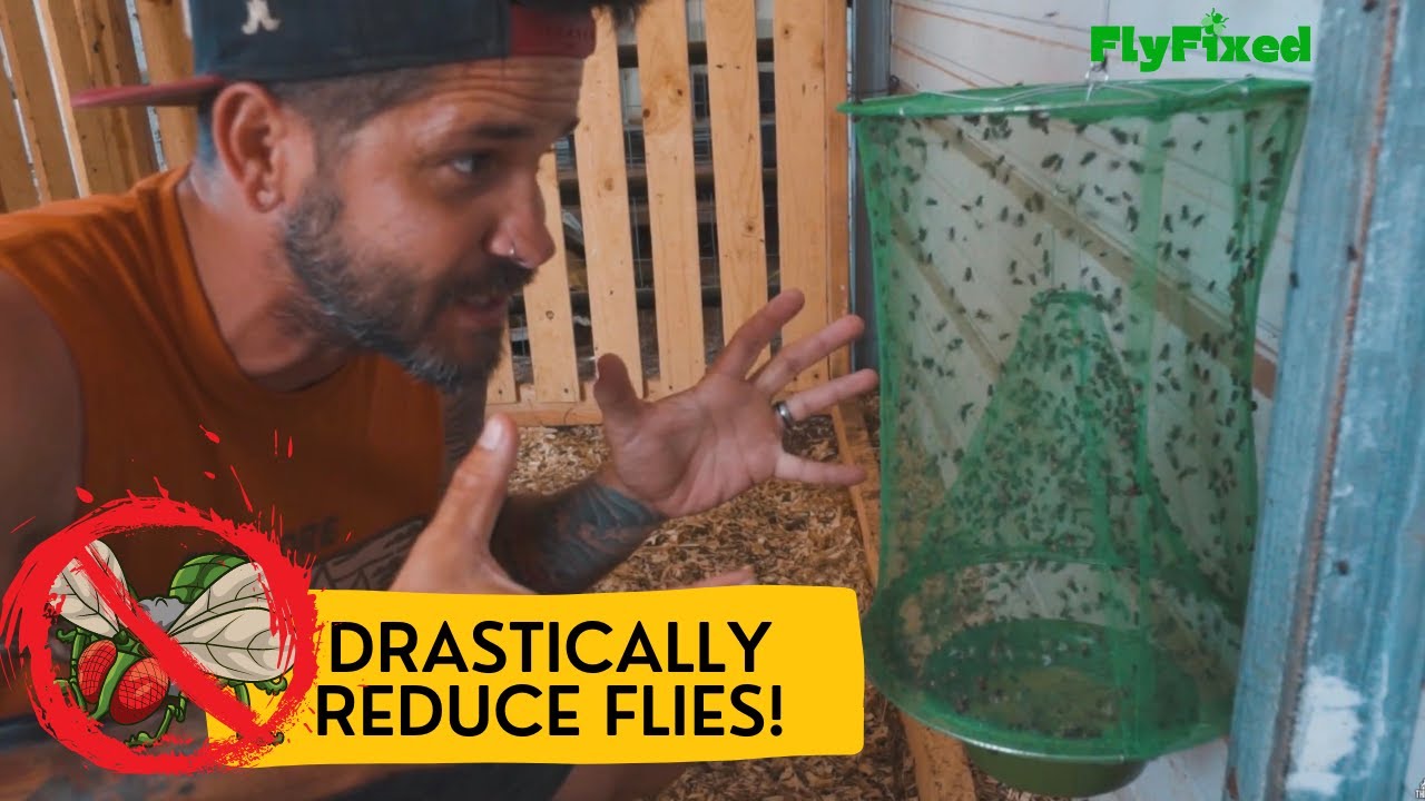 FlyFixed - #1 Reusable Net Cage Fly Trap