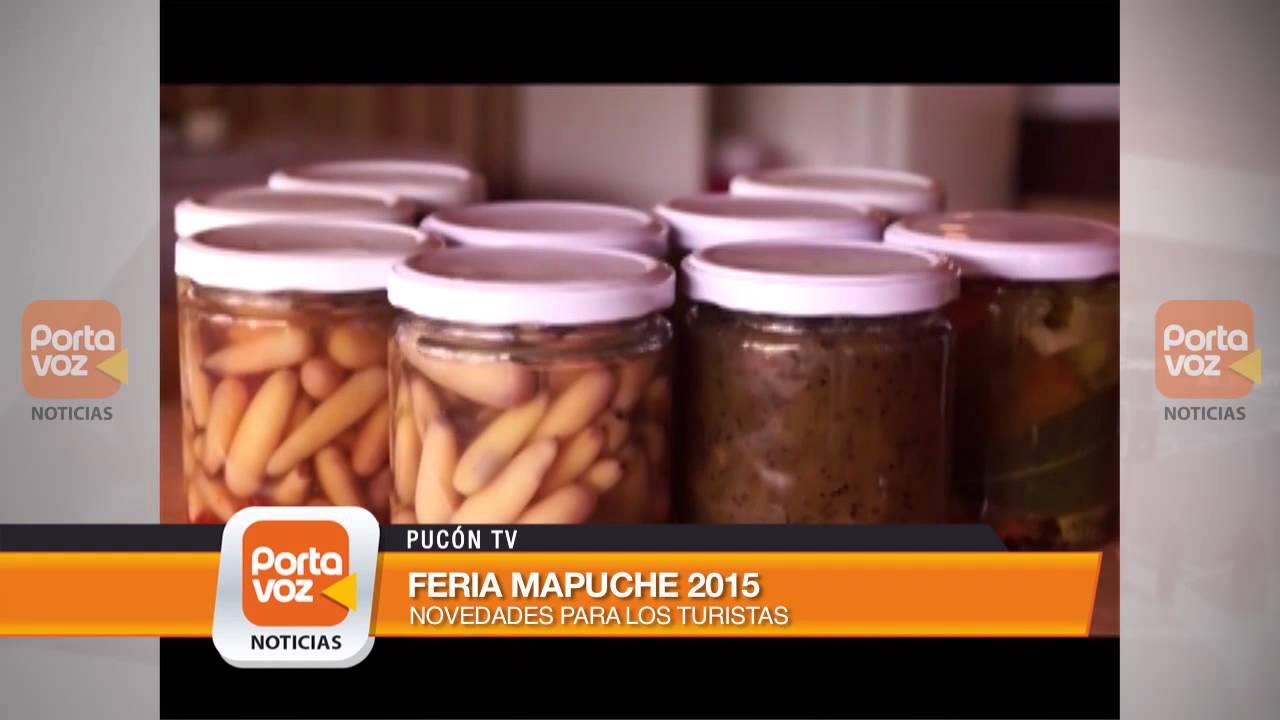 Inauguran feria mapuche en Puc&oacute;n