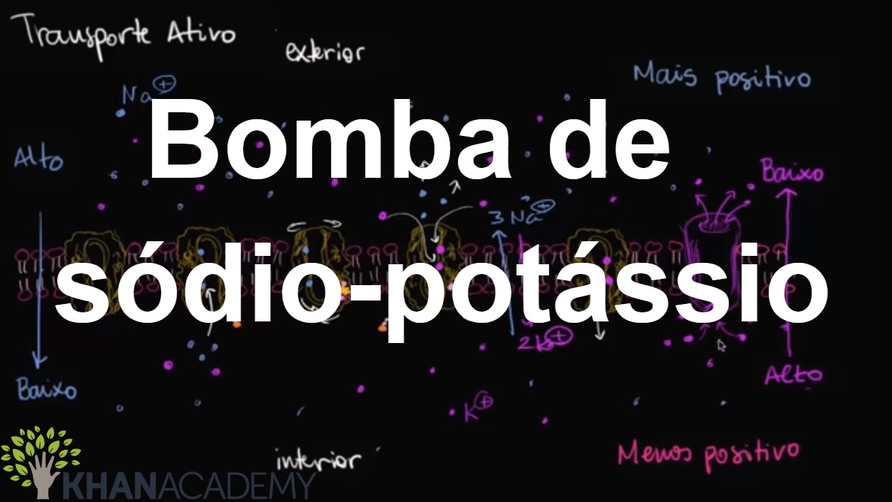 Bomba de sódio-potássio | Membranas e transporte | Biologia | Khan Academy