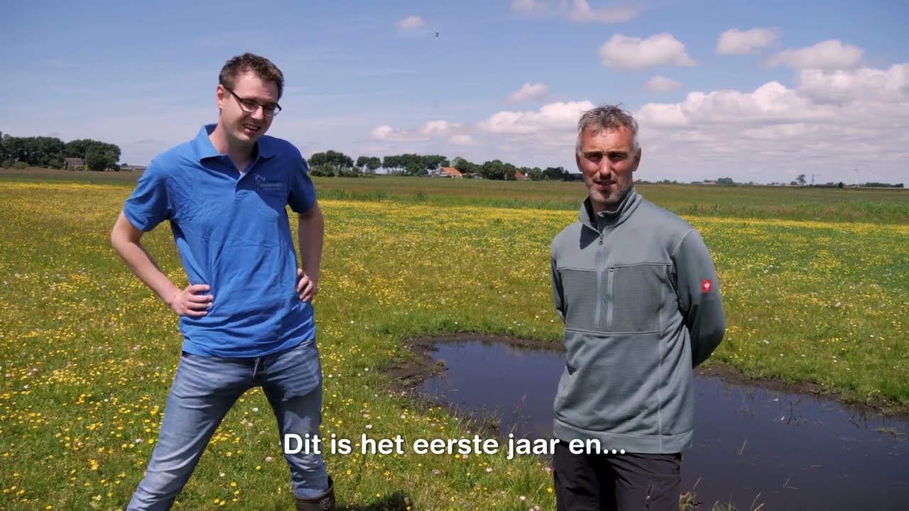 De Samenvoeging | Inrichting voor biodivers kruidenrijk Weidevogelgrasland