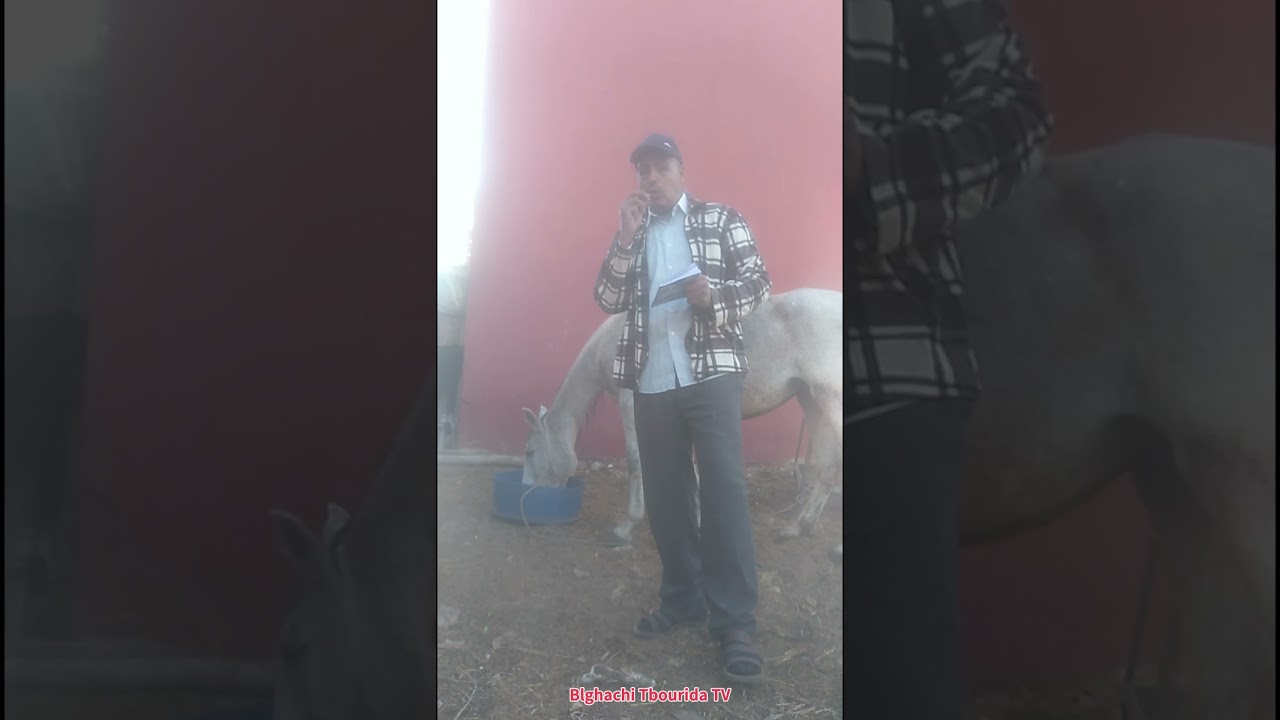 العودة او الفرس الحامل و احتياطات لسلامة الجنين