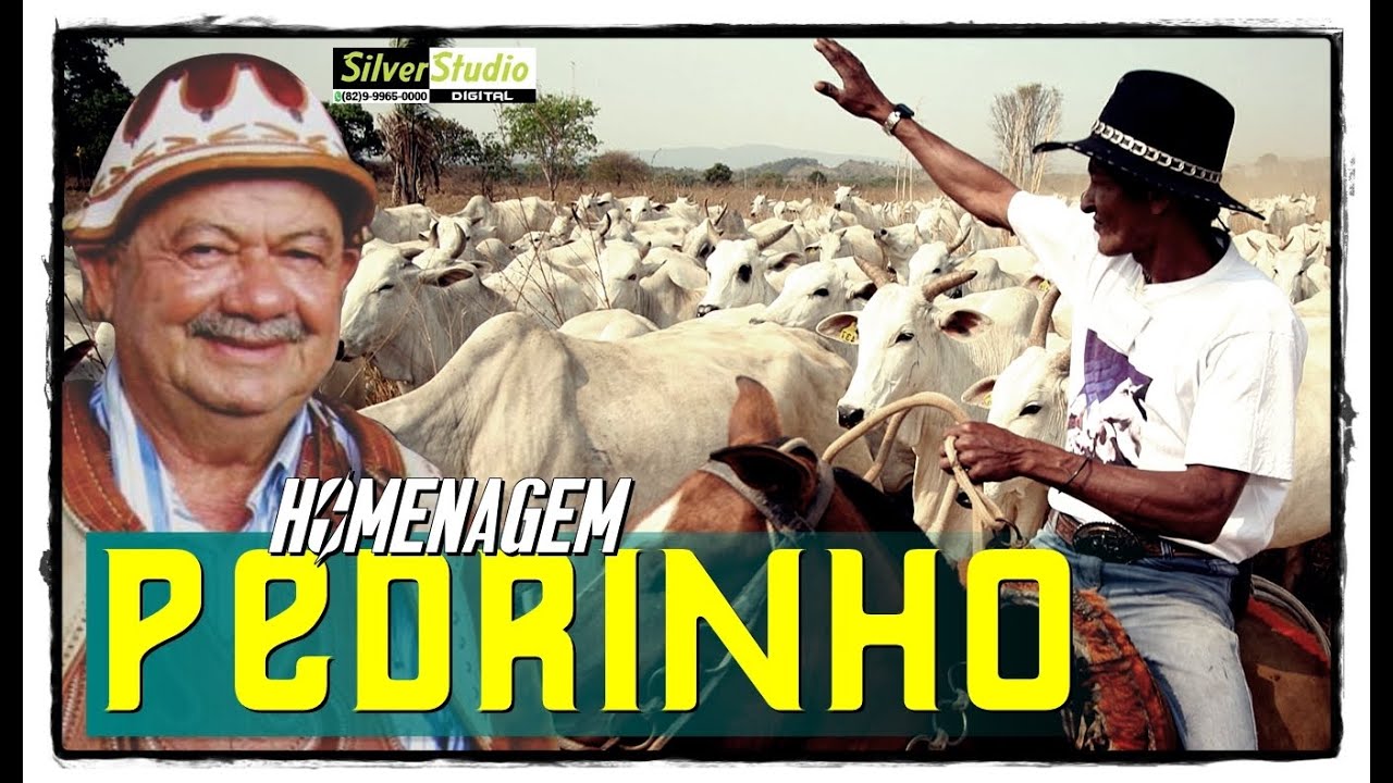 ZÉ DE ALMEIDA | HOMENAGEM À SIMÃO PEDRO (PEDRINHO) - PIRANHAS / AL