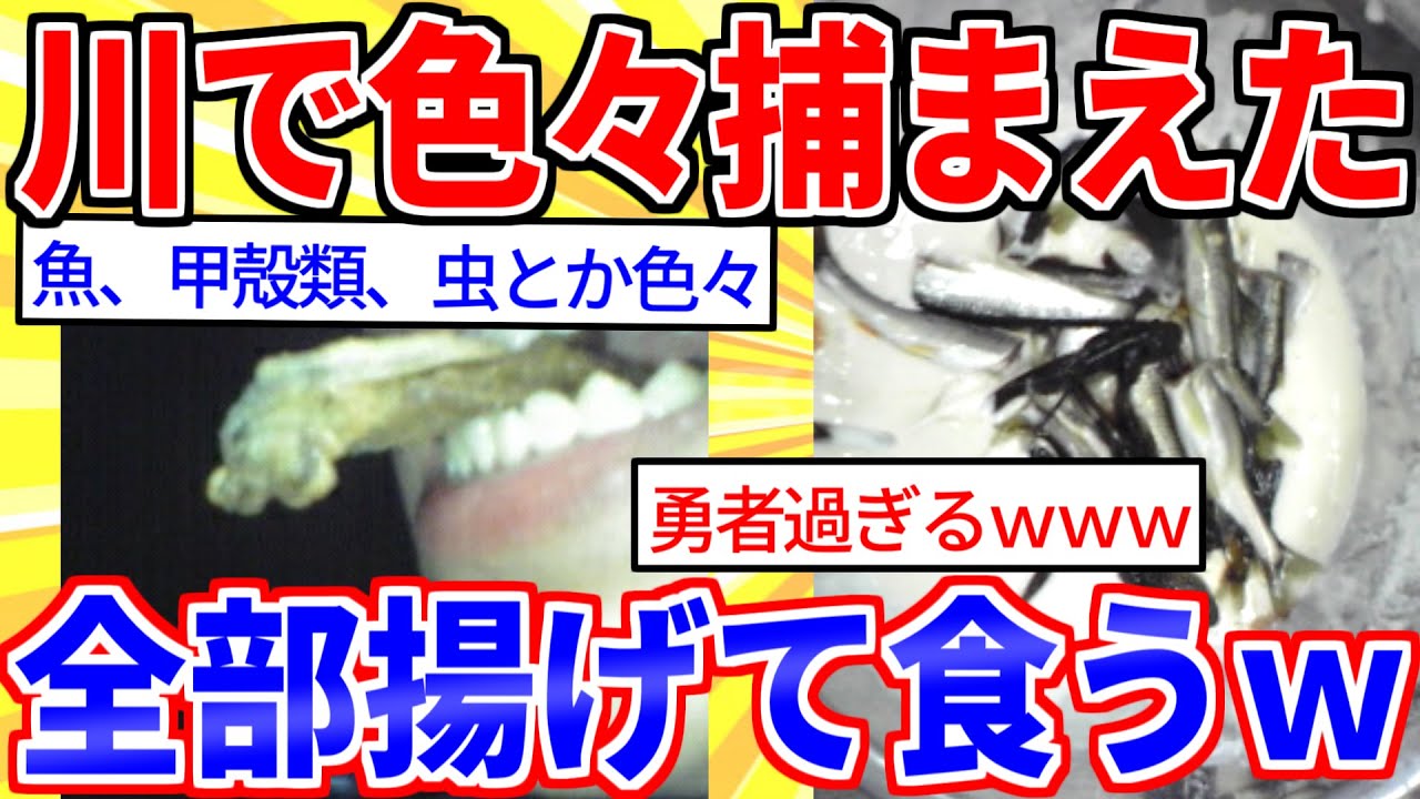 【2ch面白いスレ】川で捕まえた色々な生物を全部天ぷらにして食うｗｗｗ【ゆっくり解説】