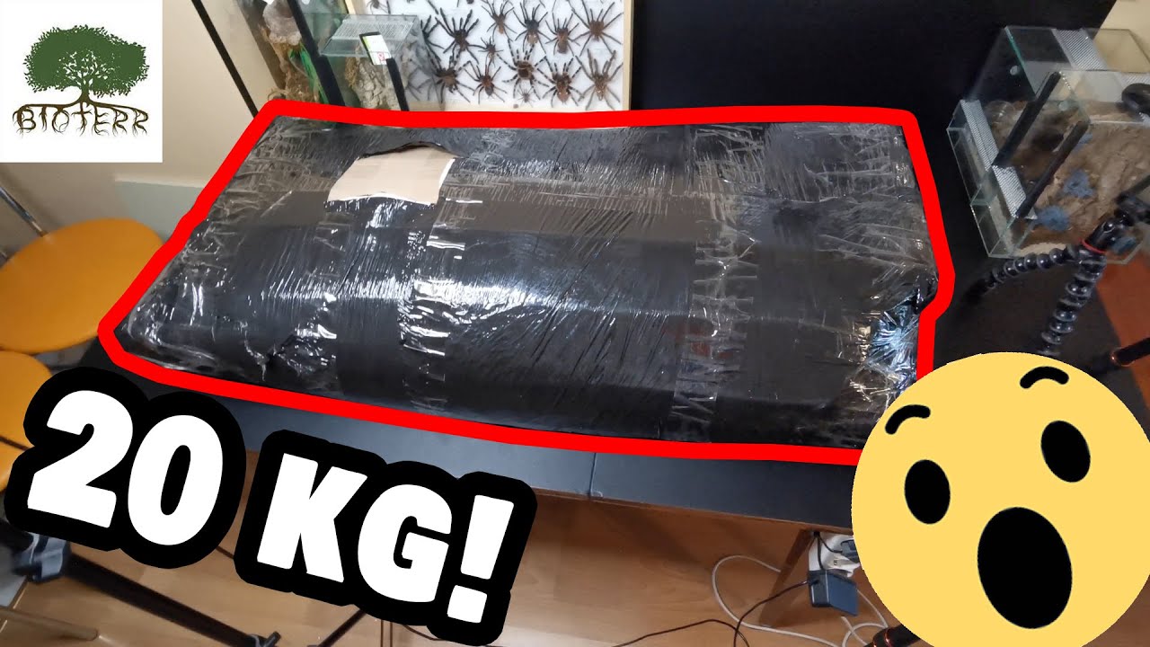GIGANTYCZNA paczka z Bioterr.pl - ponad 20 kg wystroju! + URZĄDZENIE TERRARIUM dla C. ricketti!
