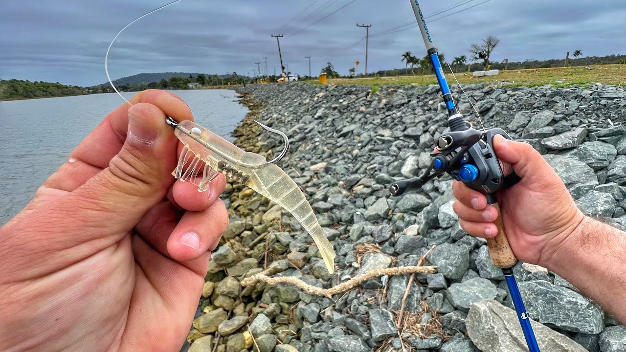 FOI O MAIOR ROBALO! ESSA ISCA VAI TE SURPREENDER!!! Pesca de robalos nas pedras na beira da rua