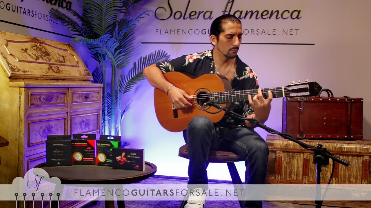 Gerundino Fern&aacute;ndez 1991 flamenco guitar for sale played by Jos&eacute; Andr&eacute;s Cort&eacute;s