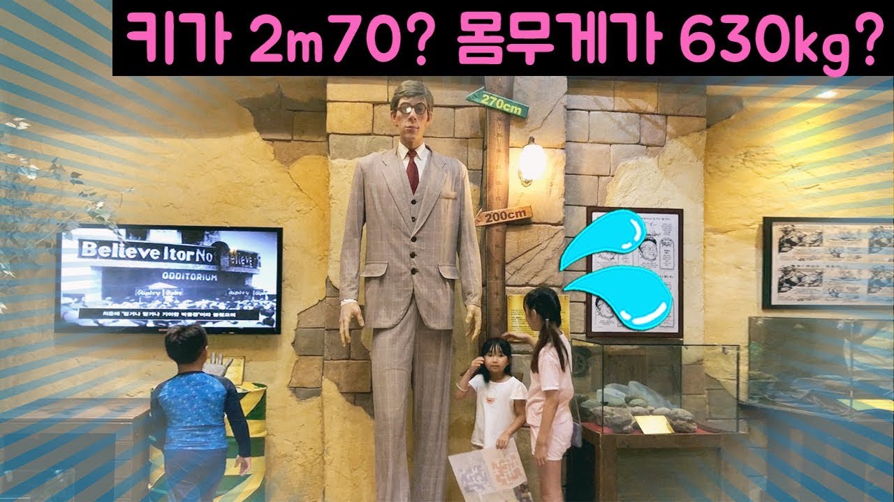 키가 2미터 70?? 몸무게가 630kg인 사람이 있다고?? 믿거나 말거나~!! 제주도 믿거나 말거나 박물관 밀착중계