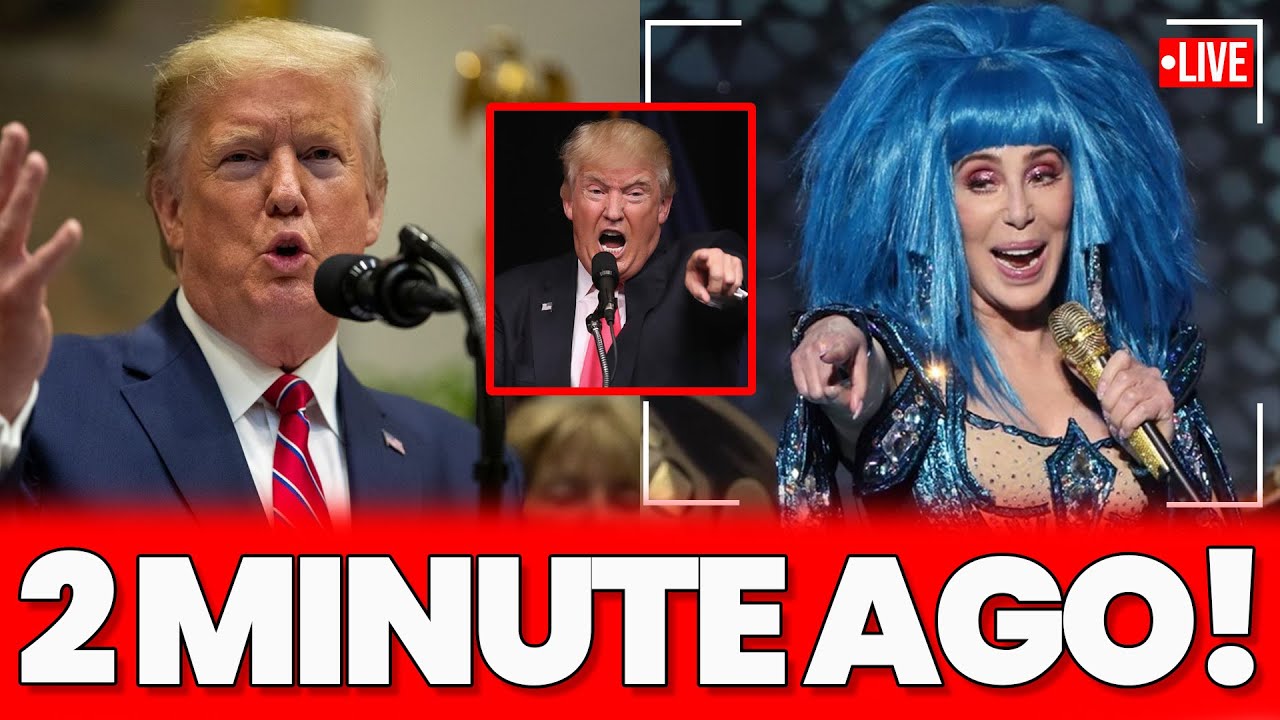 Cher Publicly DESTROYS Trump and Melania &mdash; No Holding Back on Live Air!