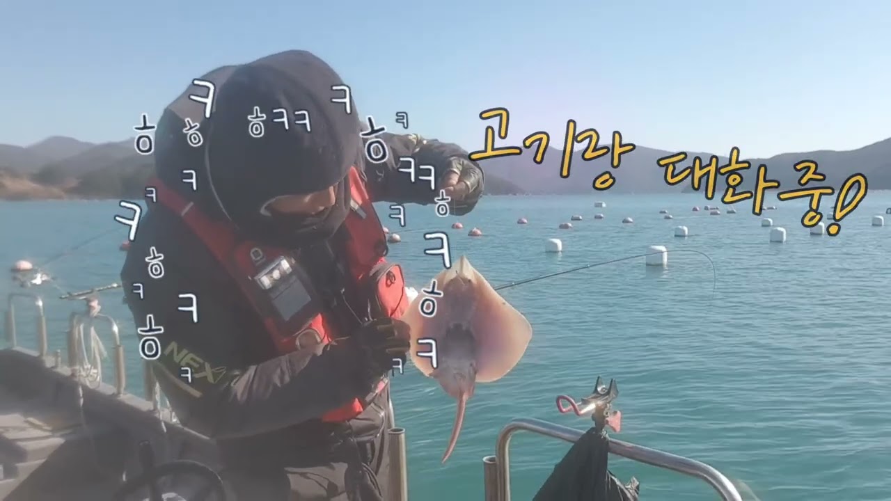 미소짓는 간재미와 감성돔 공기빼기!