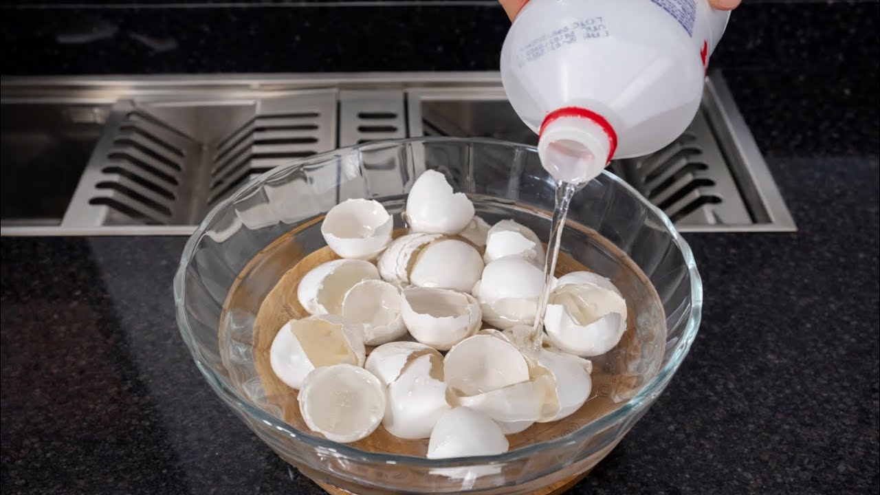 Cleaning tips you need to know