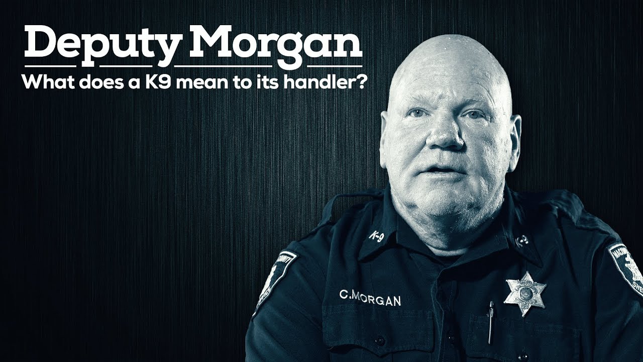 What does a K9 mean to its handler